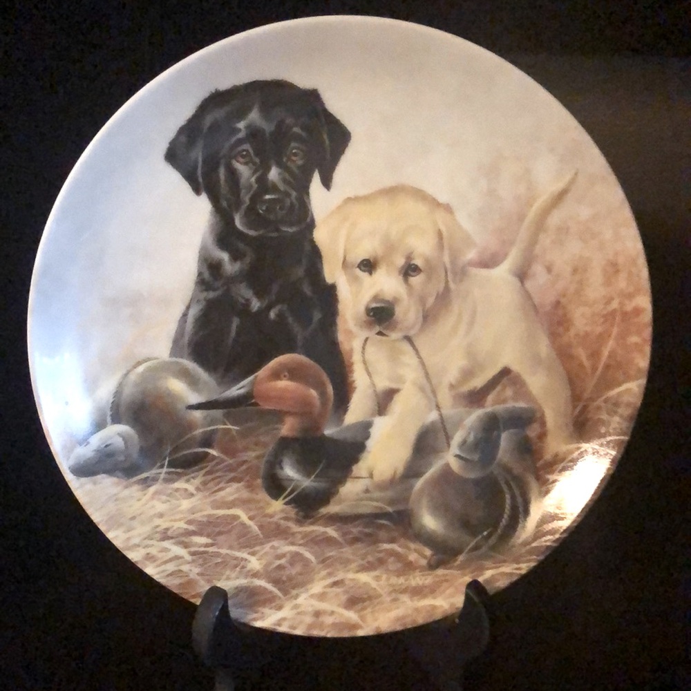 2for$20🟠Collectible Plate- Labrador Retrievers